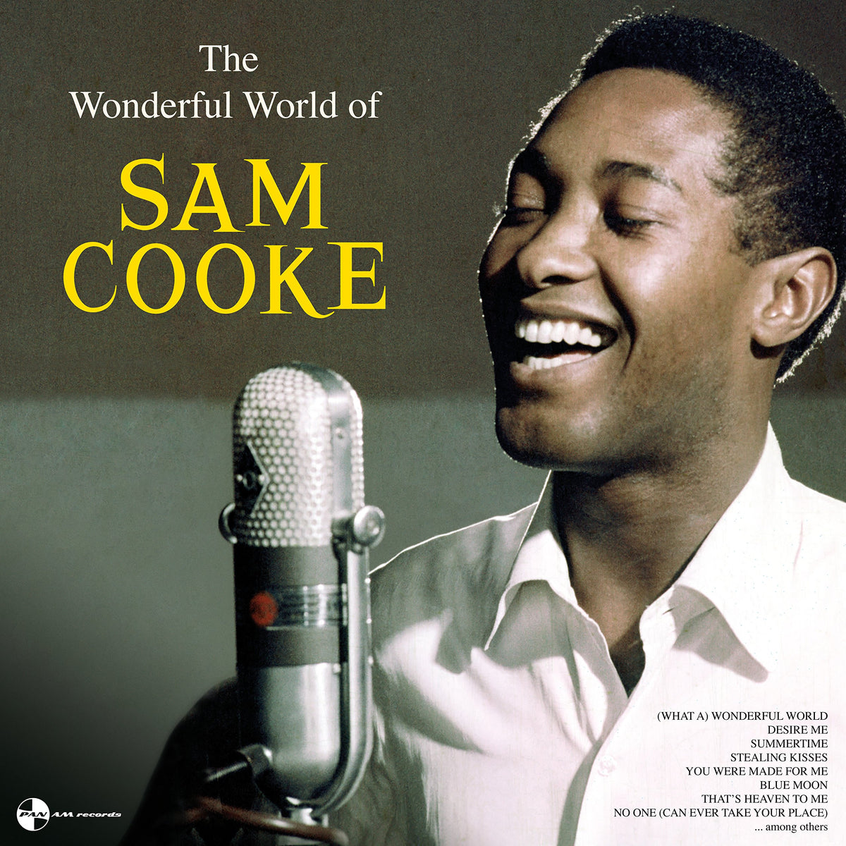 Sam Cooke – The Wonderful World of Sam Cooke vinyl record cover