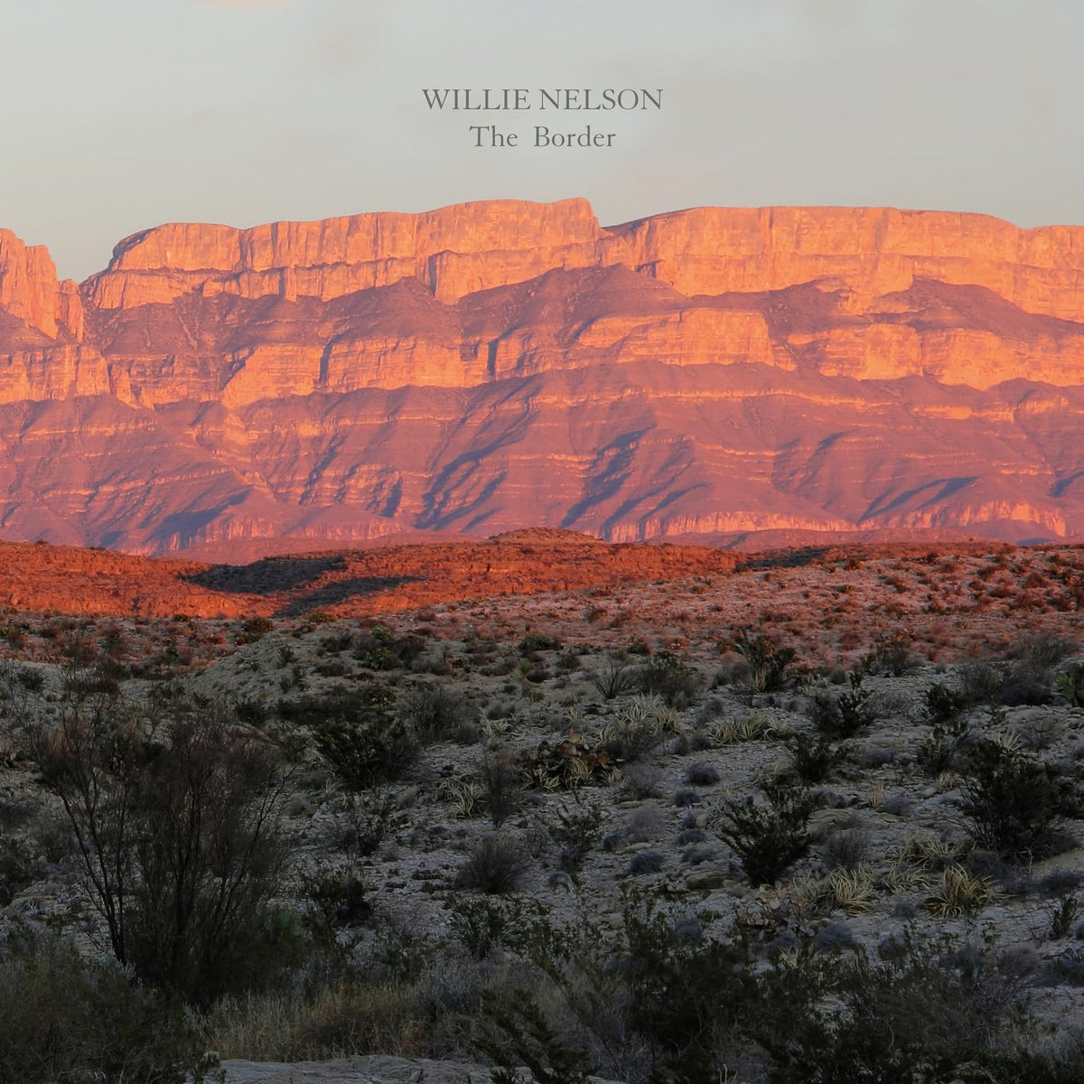 Willie Nelson – The Border vinyl record cover
