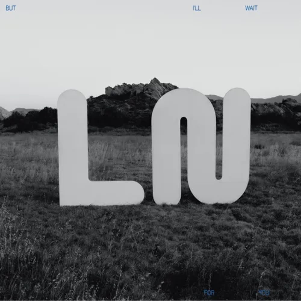 Local Natives – But I'll Wait For You (Iridescent White/Blue Vinyl) (Indies) vinyl record cover