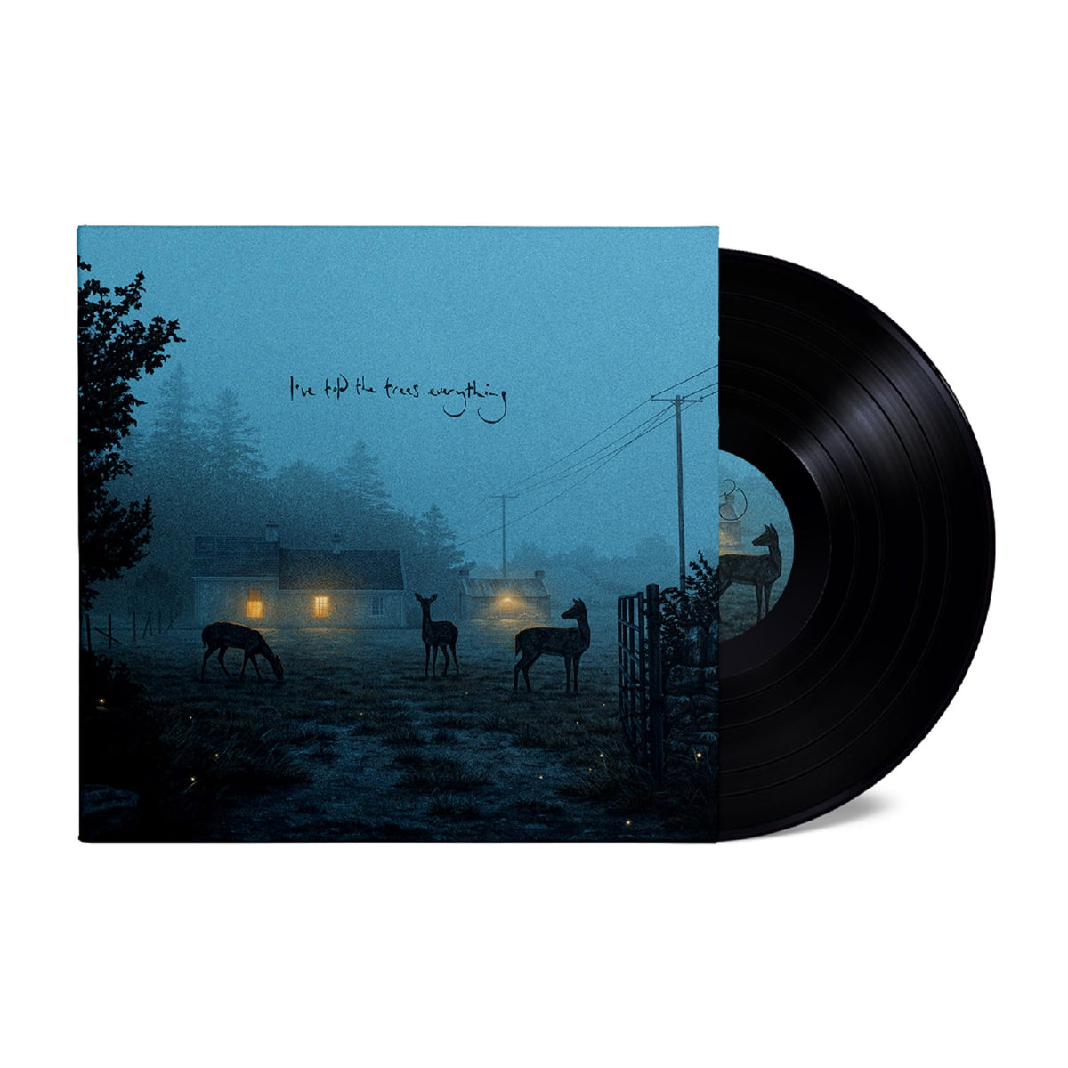 Dermot Kennedy – I've Told The Trees Everything Indie Exclusive  by Dermot Kennedy vinyl record cover