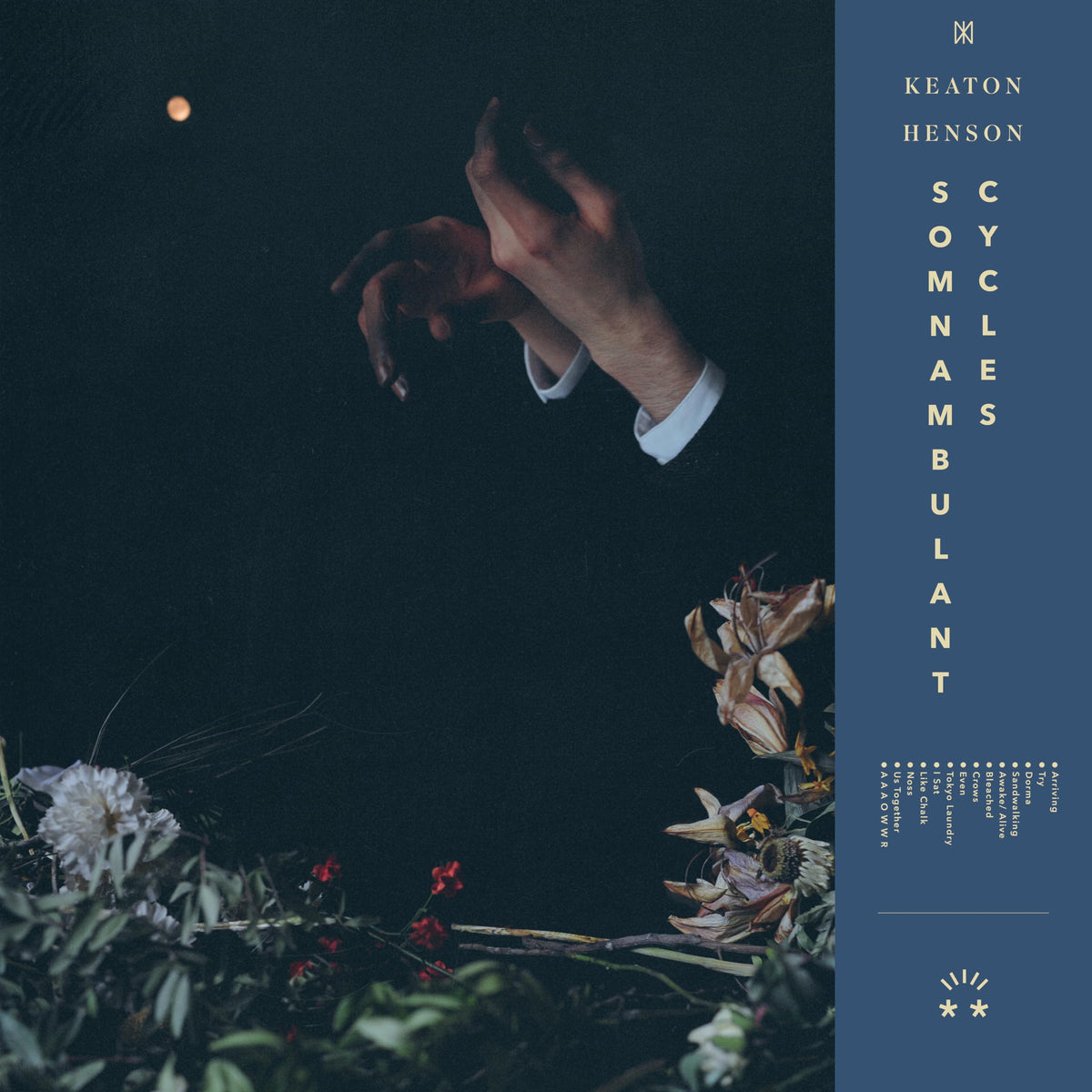 Keaton Henson – Somnambulant Cycles vinyl record cover