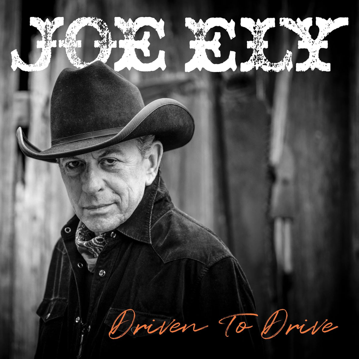Joe Ely – Driven to Drive vinyl record cover
