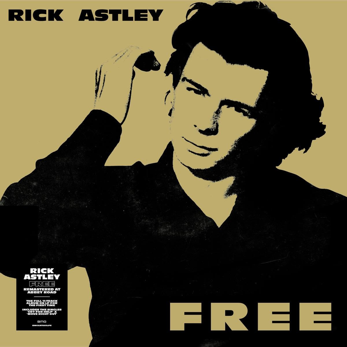 Rick Astley – Free vinyl record cover
