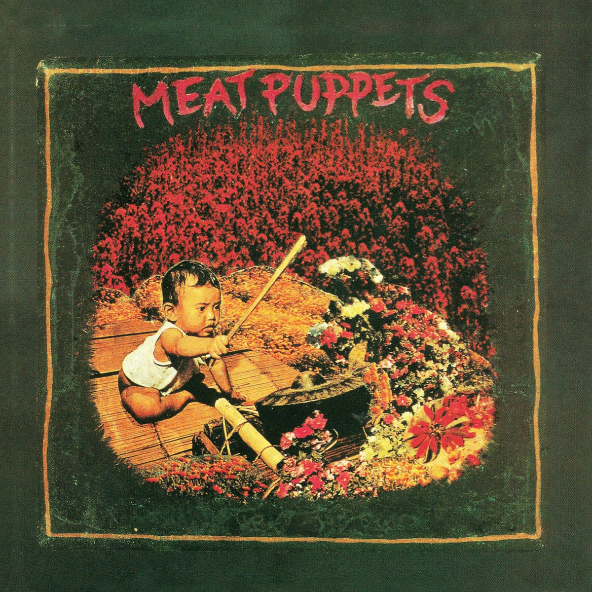 Meat Puppets – Meat Puppets I vinyl record cover