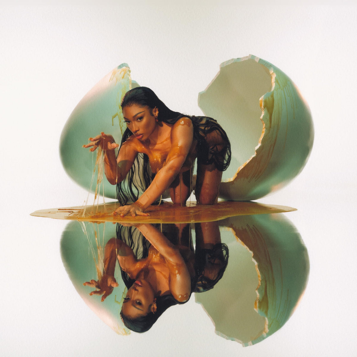 Megan Thee Stallion – Megan vinyl record cover