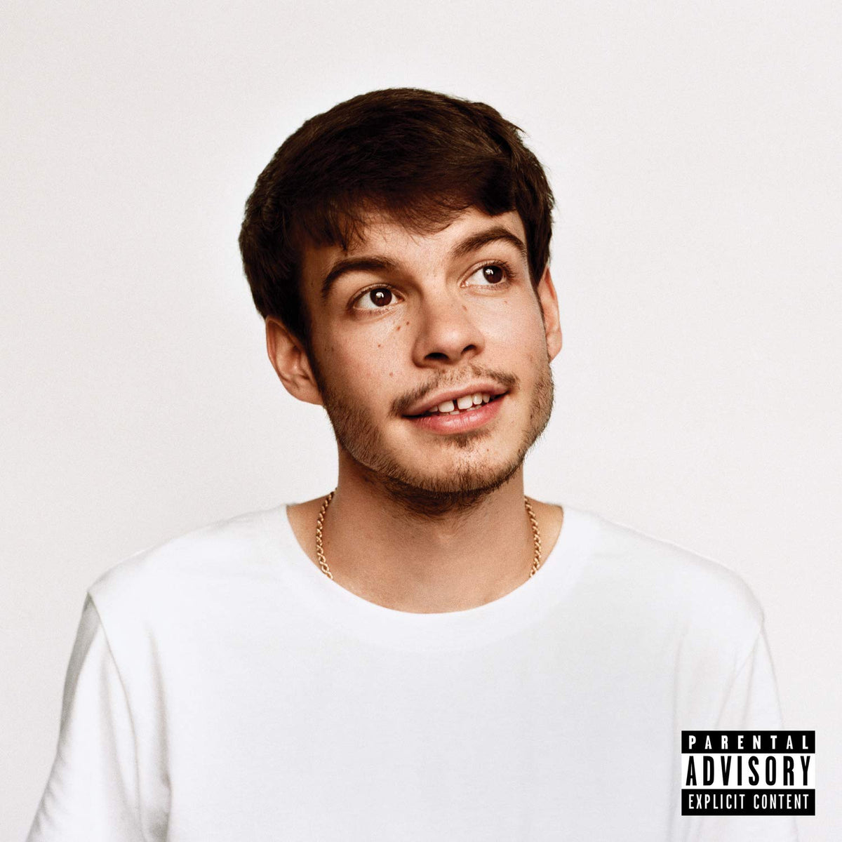 Rex Orange County – Pony vinyl record cover