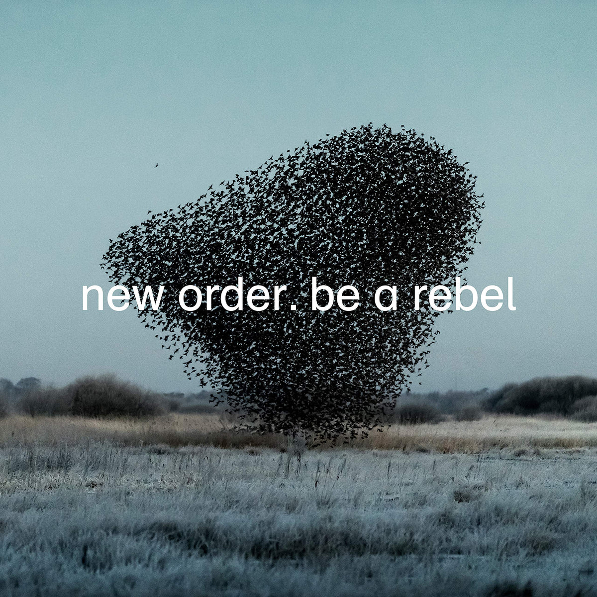 New Order – BE A REBEL (LP)  by NEW ORDER vinyl record cover