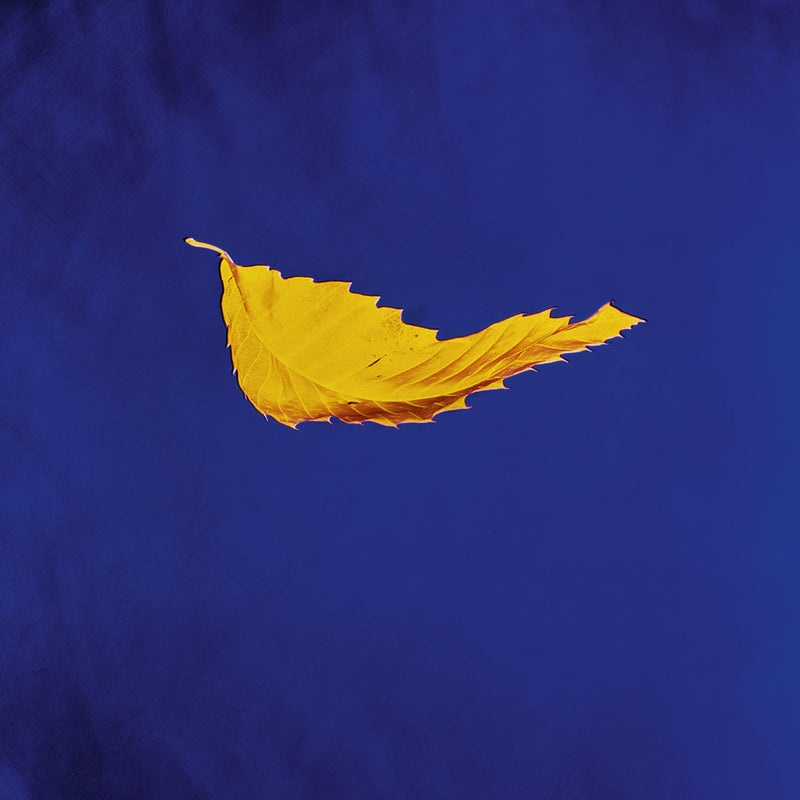 New Order – True Faith vinyl record cover