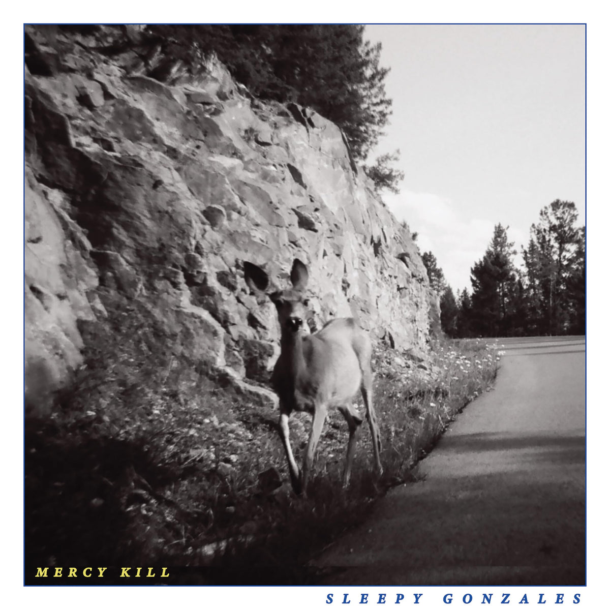 Sleepy Gonzales – MERCY KILL (LP)  by SLEEPY GONZALES vinyl record cover