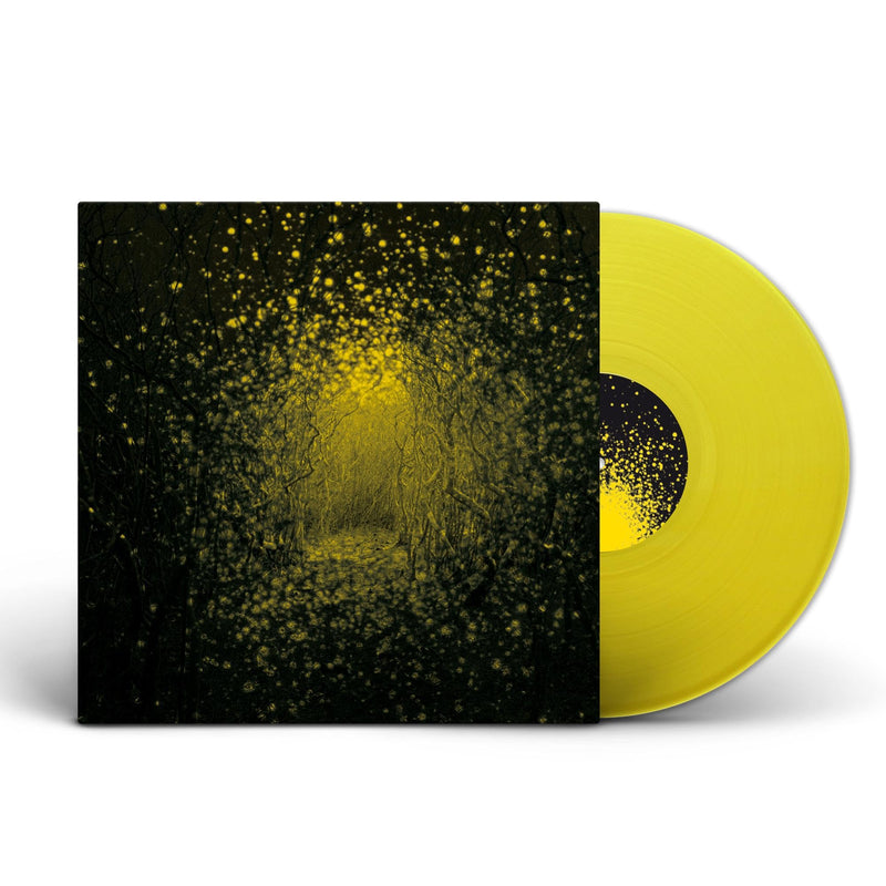 The Antlers – Burst Apart vinyl record cover