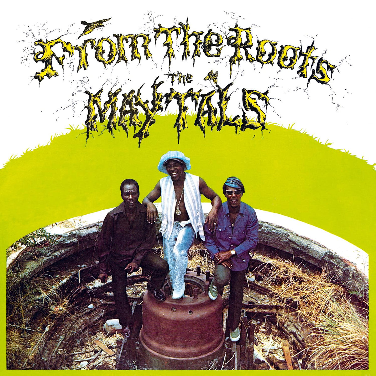 The Maytals – From The Roots (Yellow & Translucent Green Marbled Vinyl) (LP) by Maytals,The vinyl record cover