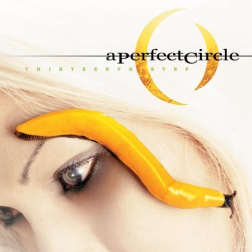 A Perfect Circle – Thirteenth Step vinyl record cover