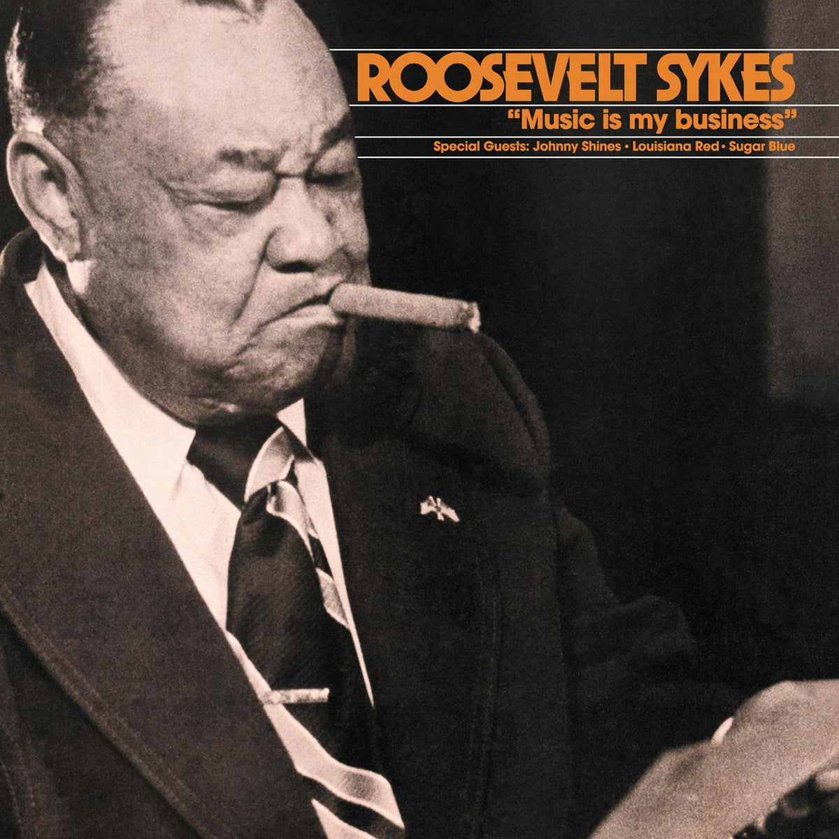 Roosevelt Sykes – Music Is My Business vinyl record cover