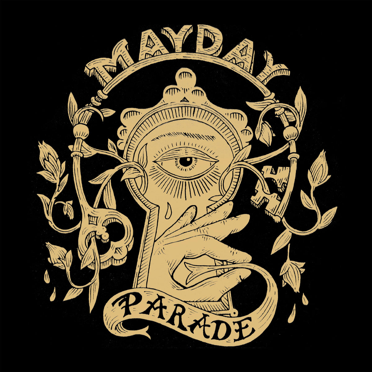 Mayday Parade – Monsters in the Closet vinyl record cover