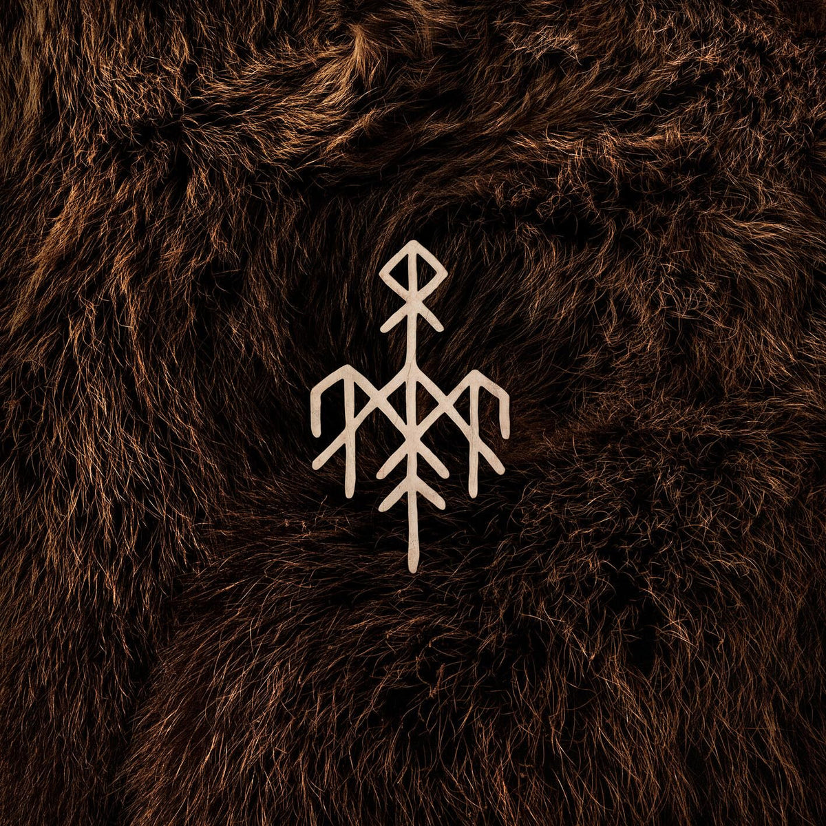 Wardruna – Birna Indie Exclusive Vinyl (Gold) by Wardruna [2 LP] vinyl record cover