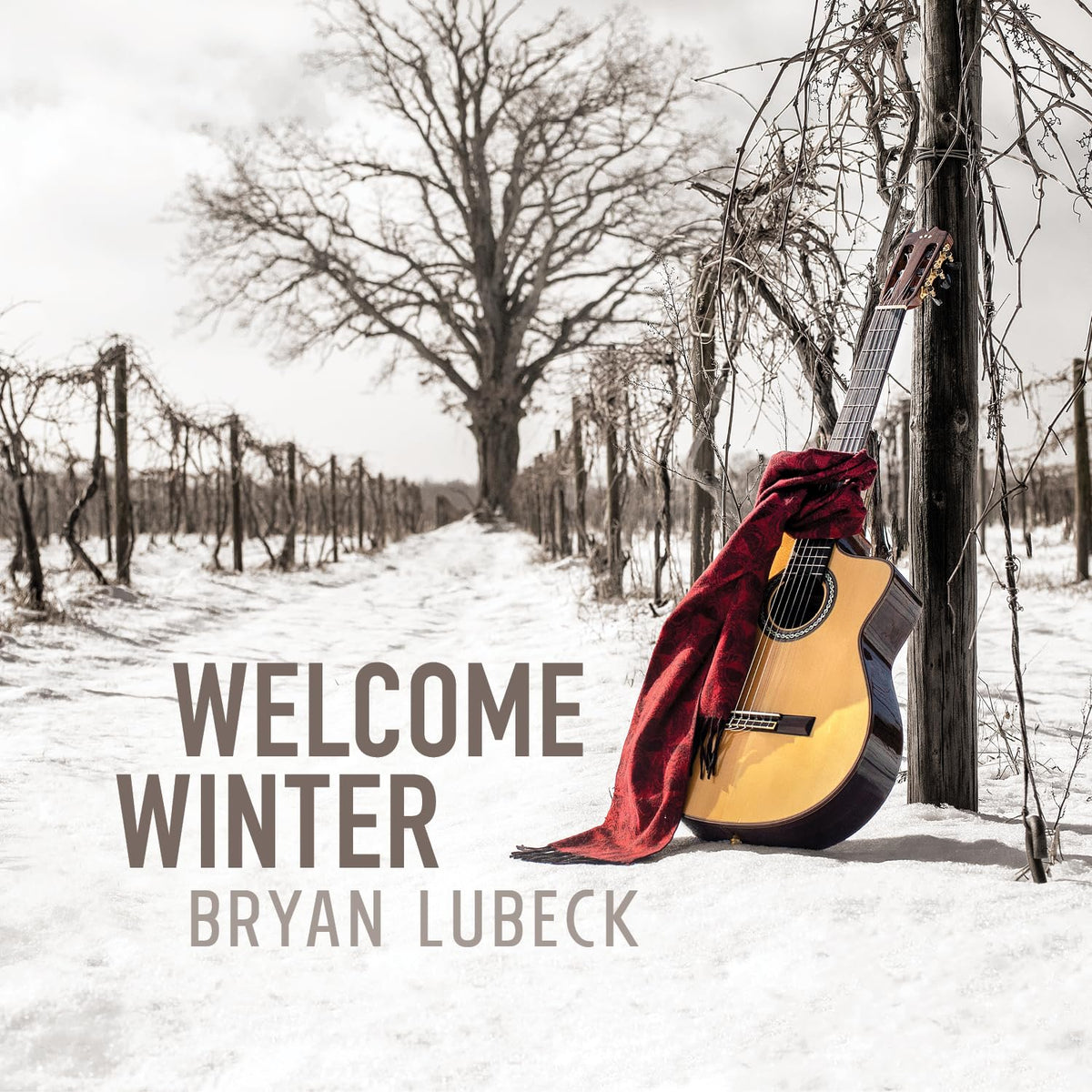 Bryan Lubeck – Welcome Winter vinyl record cover