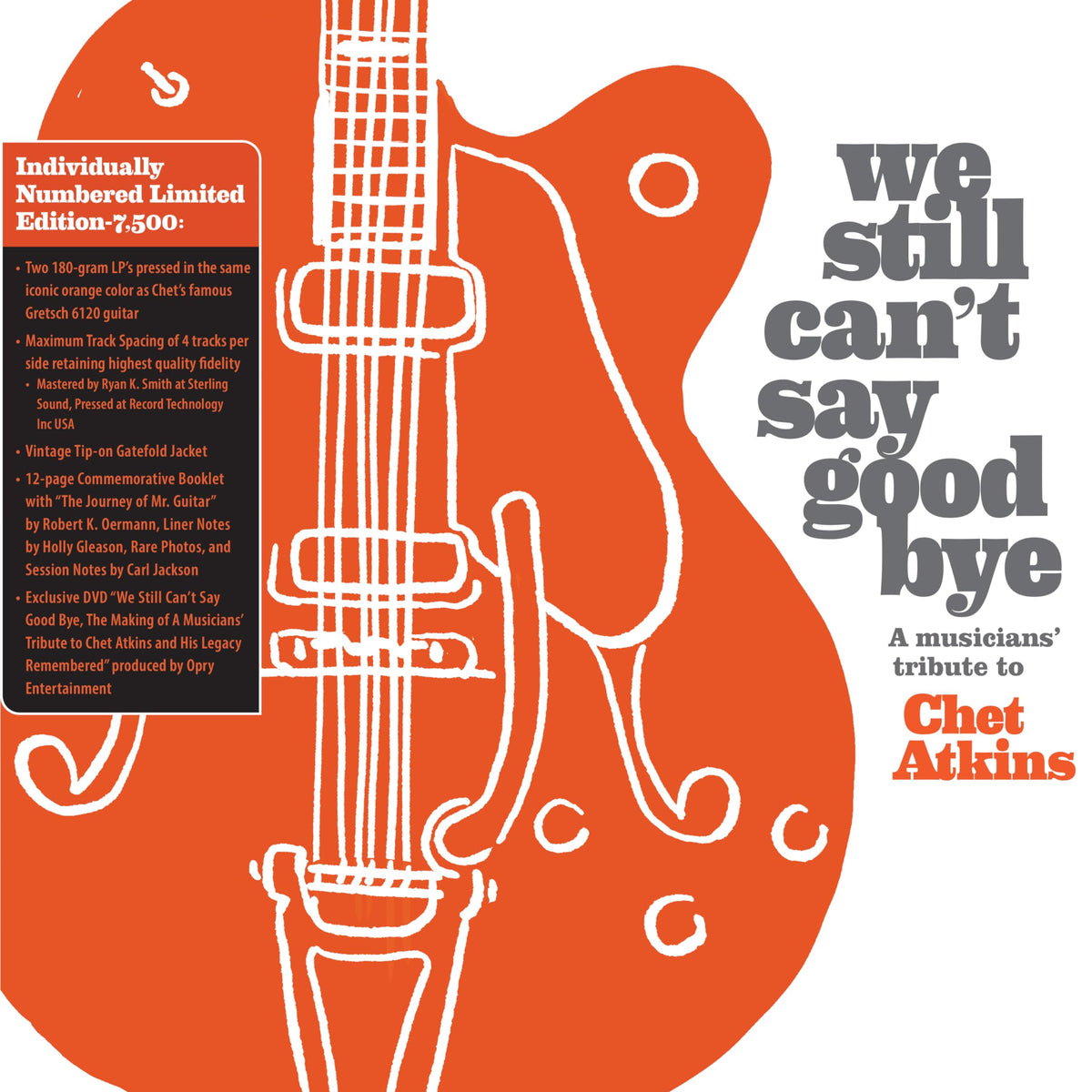 Various Artists – We Still Can't Say Goodbye (Coloured Vinyl) vinyl record cover