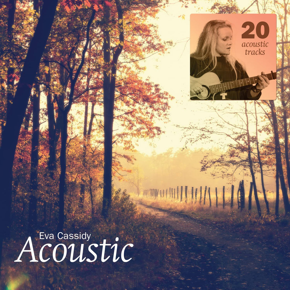 Eva Cassidy – Acoustic vinyl record cover