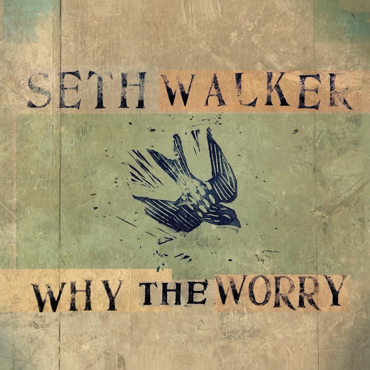 Seth Walker – Why the Worry vinyl record cover