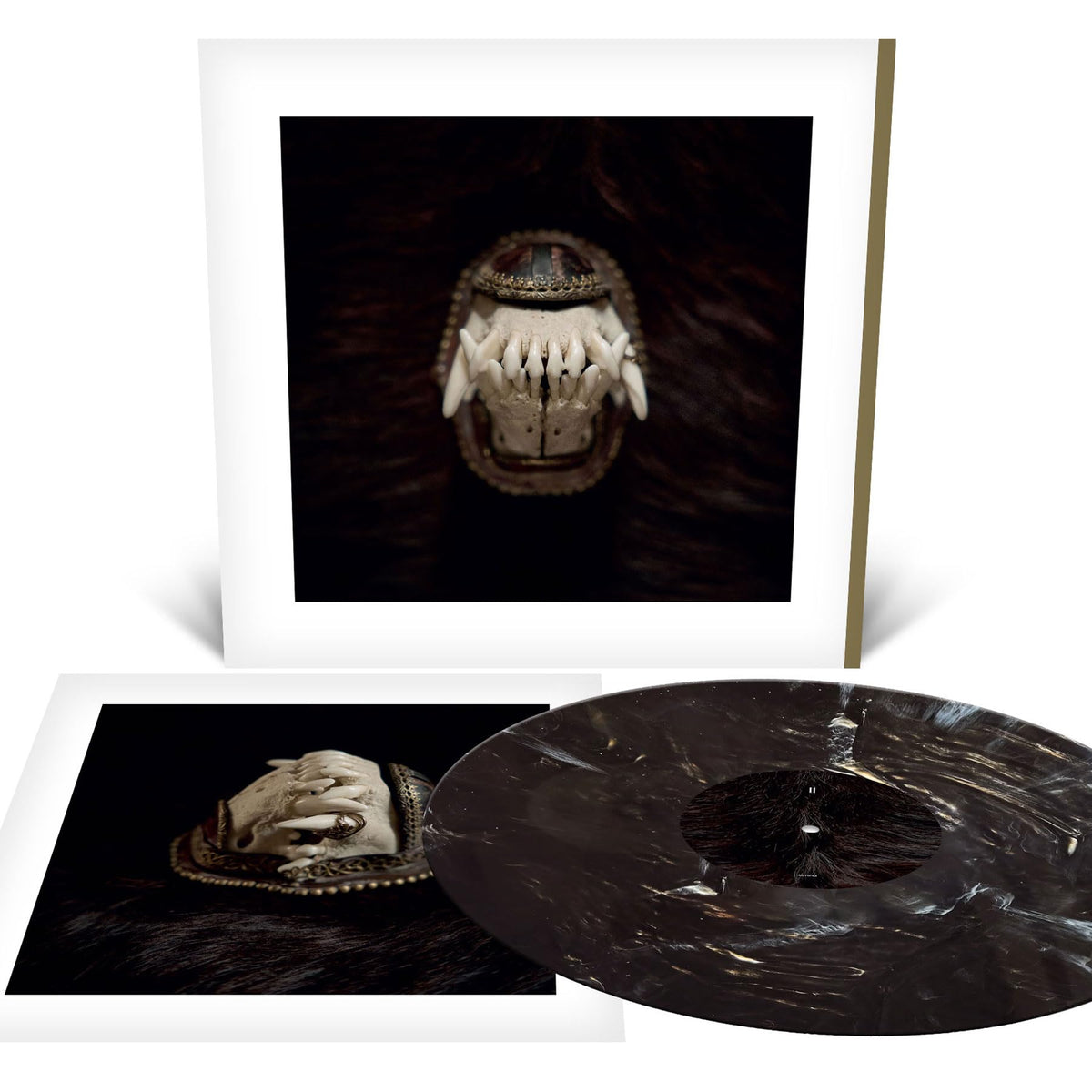 Amenra – De Toorn vinyl record cover