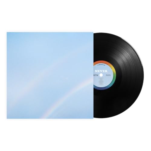 Turnstile – Never Enough vinyl record cover