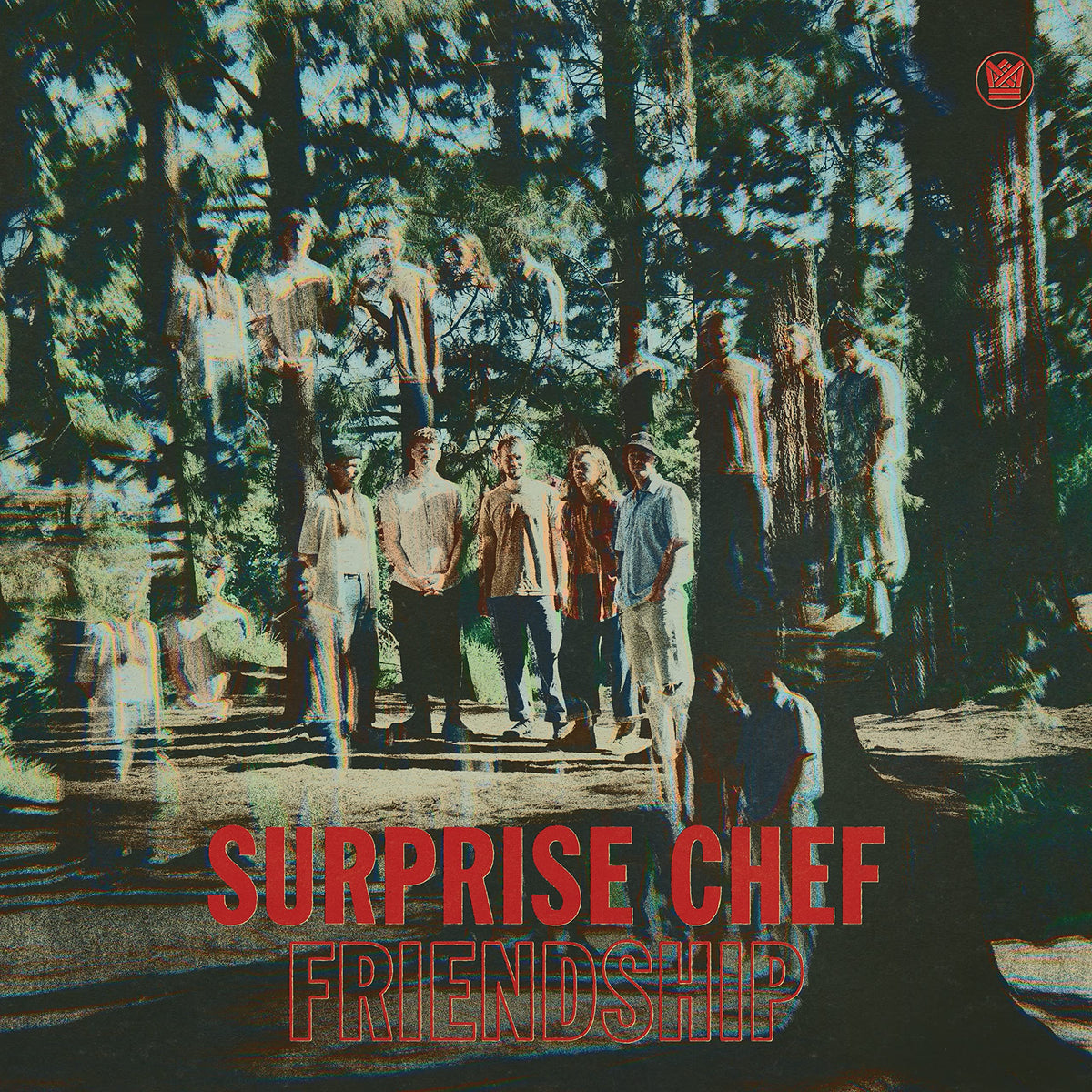 Surprise Chef – Friendship vinyl record cover