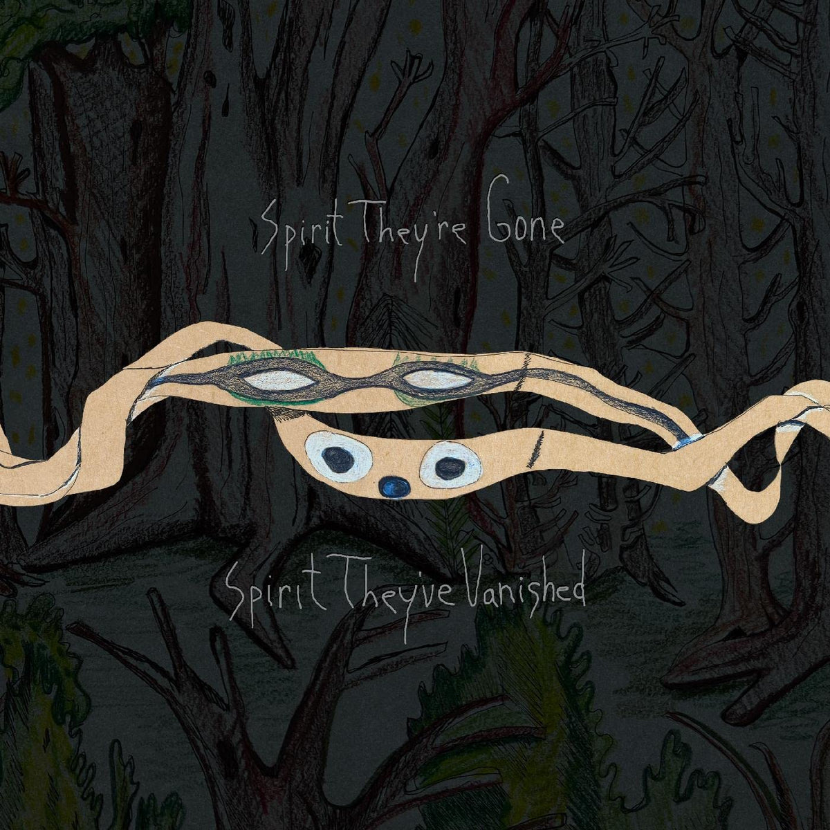 Animal Collective – Spirit They've Gone, Spirit They've Vanisheds vinyl record cover