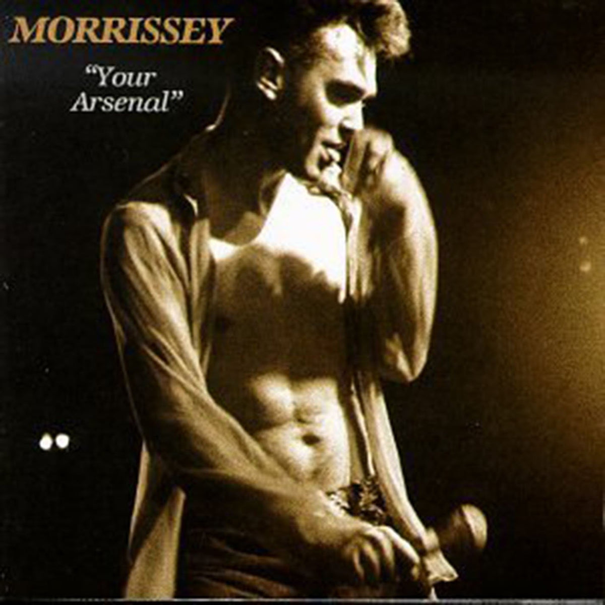 Morrissey – Your Arsenal vinyl record cover