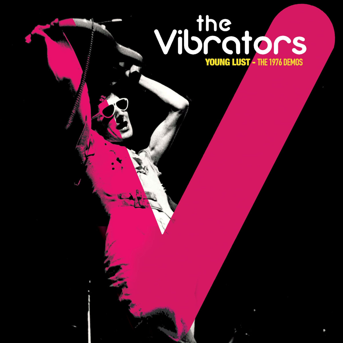 The Vibrators – Young Lust vinyl record cover