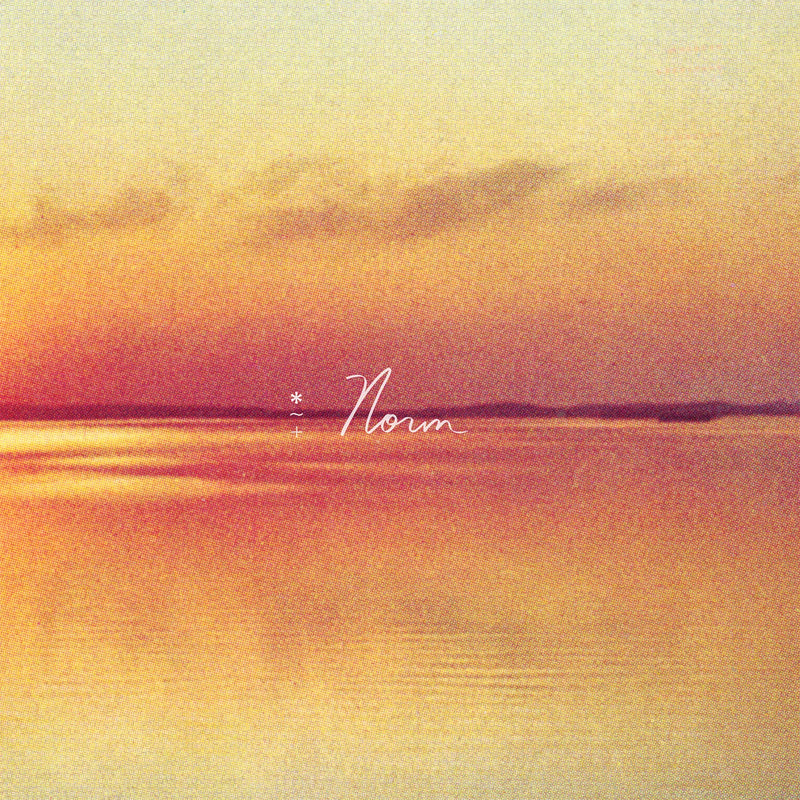 Andy Shauf – NORM(LP)  by ANDY SHAUF vinyl record cover