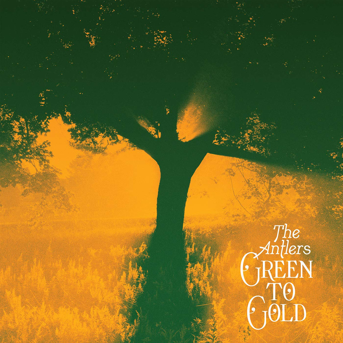 The Antlers – Green to Gold (Coloured Vinyl) vinyl record cover