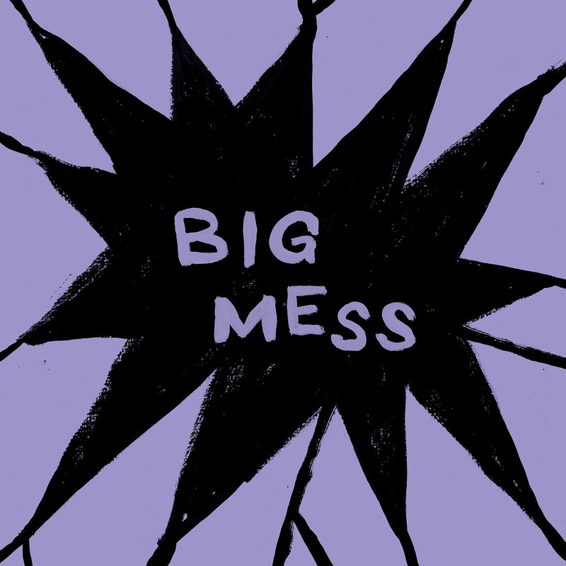 Public Body – Big Mess vinyl record cover