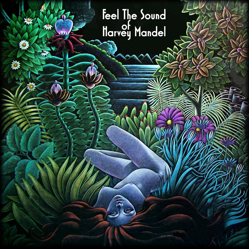 Harvey Mandel – Feel the Sound vinyl record cover