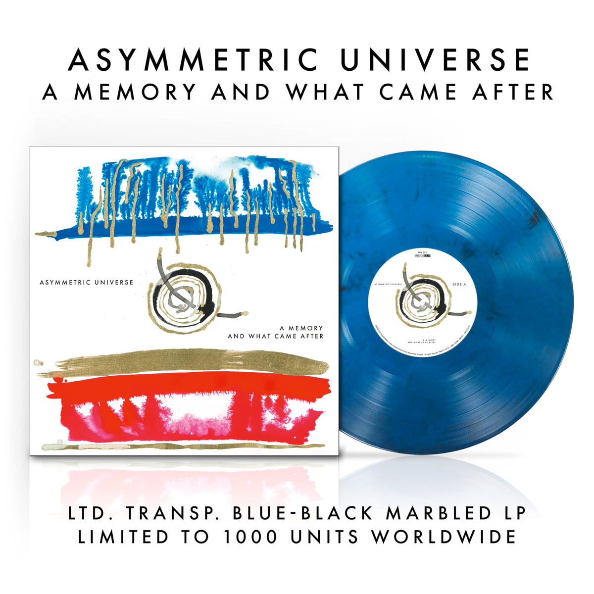 Asymmetric Universe – A Memory and What Came After vinyl record cover