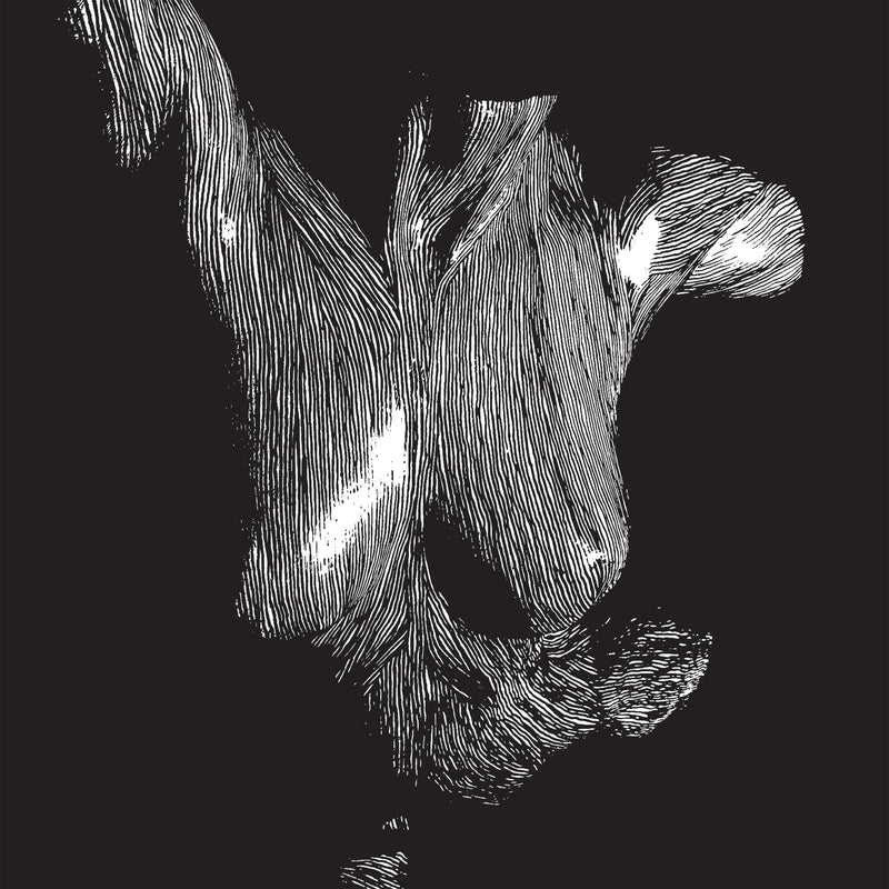 Oceansize – Self-preserved While the Bodies Float Up (15th Anniversary) vinyl record cover