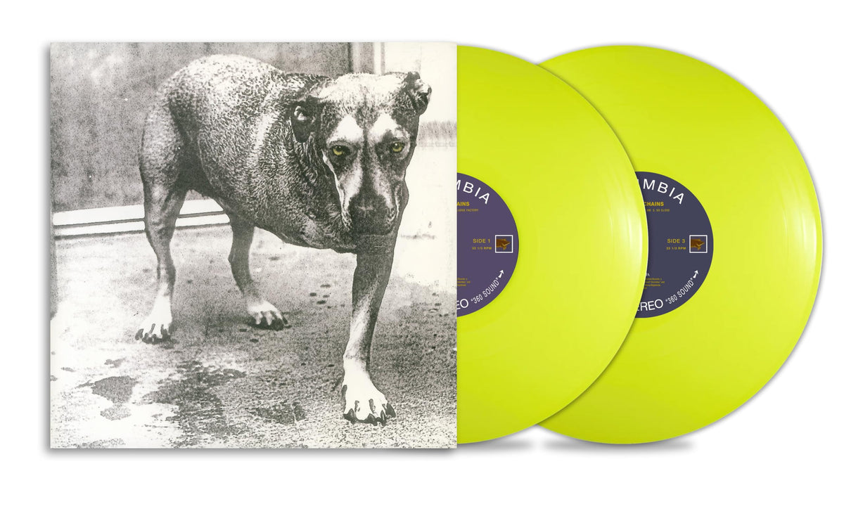 Alice in Chains – Alice in Chains (30th Anniversary) vinyl record cover