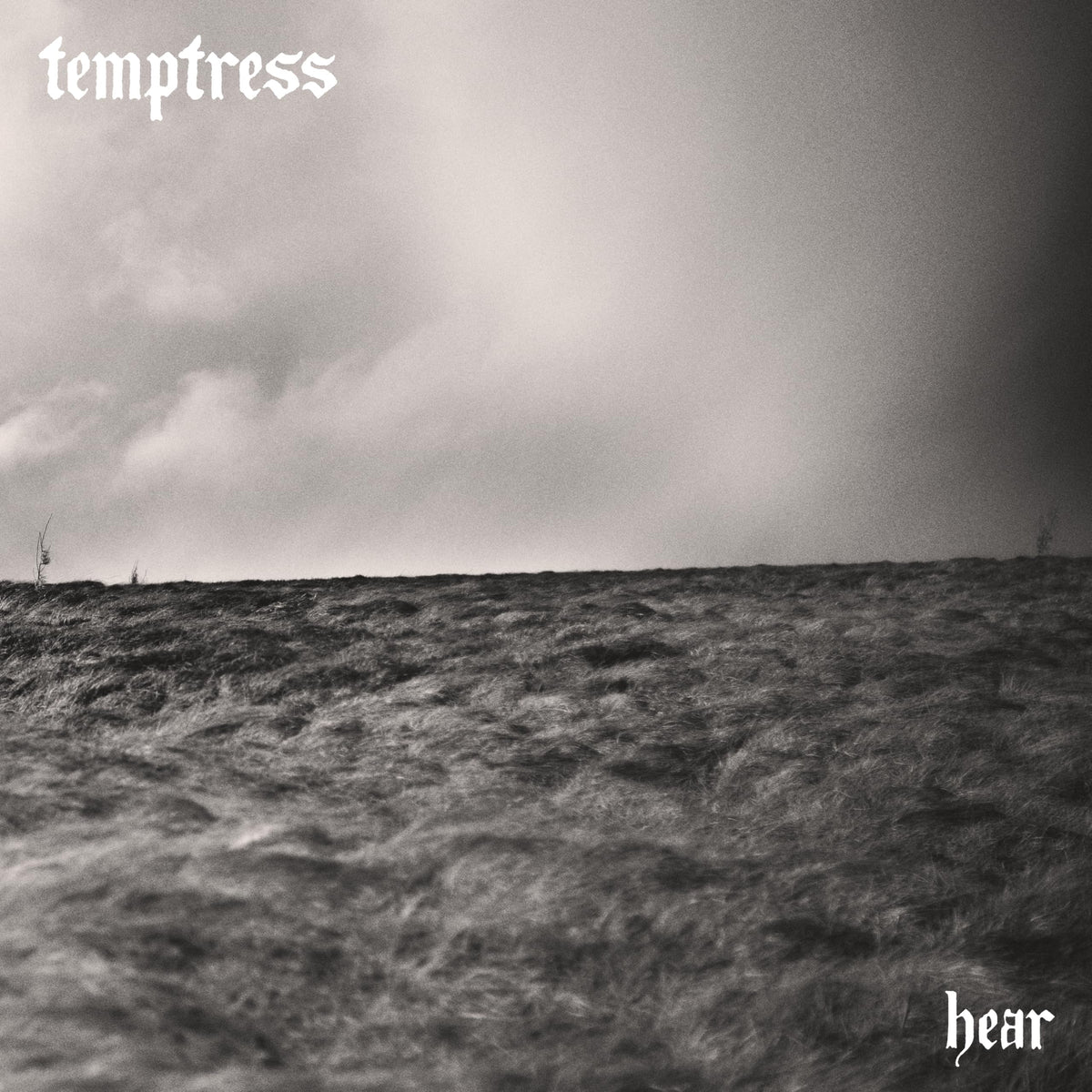 Temptress – Hear vinyl record cover