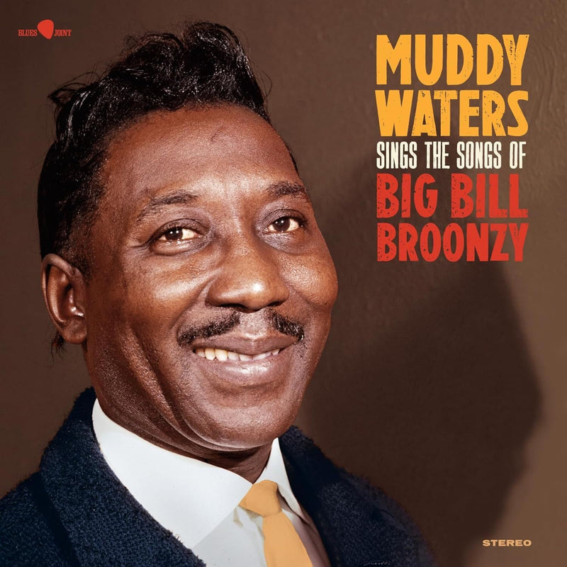 Muddy Waters – Sings the Songs of Big Bill Broonzy vinyl record cover