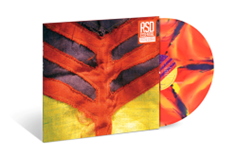 Yeah Yeah Yeahs – Show Your Bones (Orange / Yellow & Purple Marble Vinyl) (Rsd Esse vinyl record cover