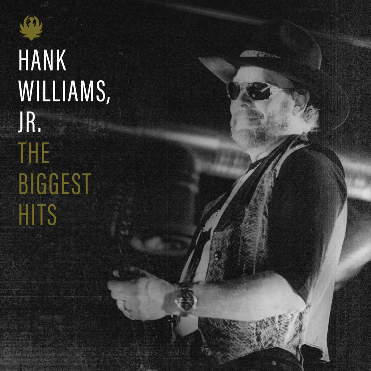 Hank Williams Jr. – Biggest Hits Of Hank Williams / Jr. vinyl record cover