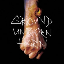 GROUND UNICORN HORN — Damn I Wish I Was Fat — record image 1