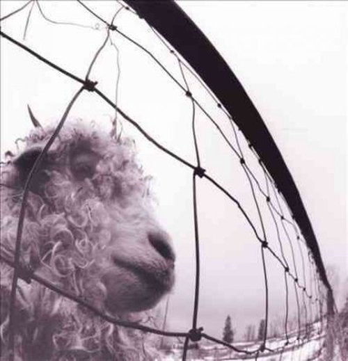 PEARL JAM – VS — album cover