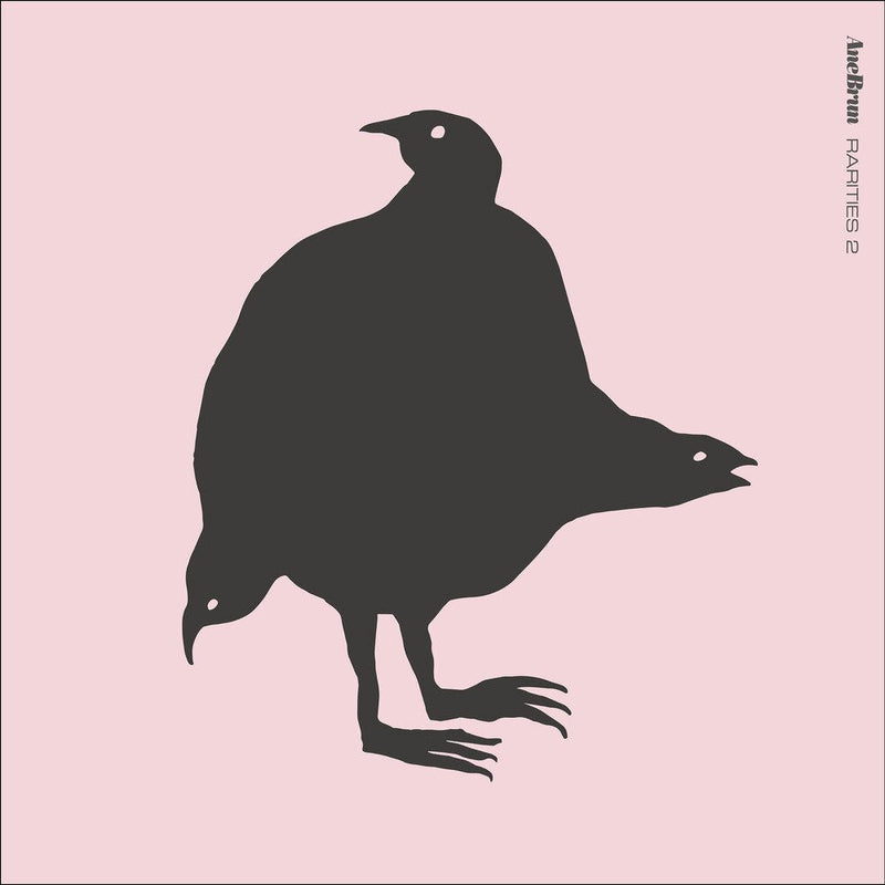 Ane Brun – Rarities 2 vinyl record cover