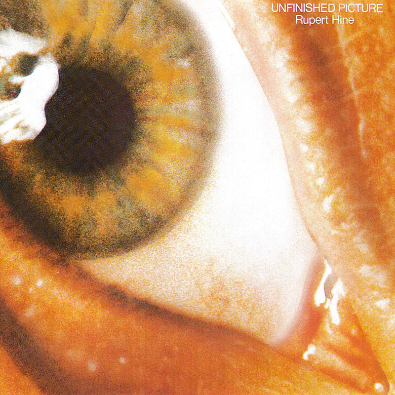 Rupert Hine – Unfinished Picture vinyl record cover