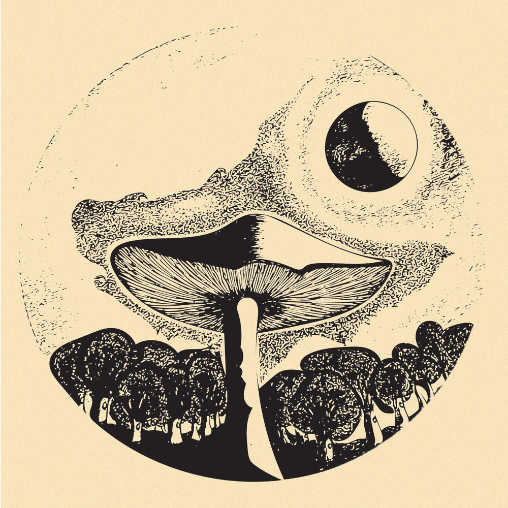 Moonstone – Moonstone vinyl record cover
