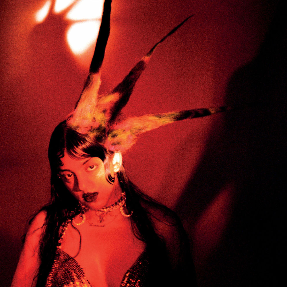 Fran Lobo – Burning It Feels Like vinyl record cover