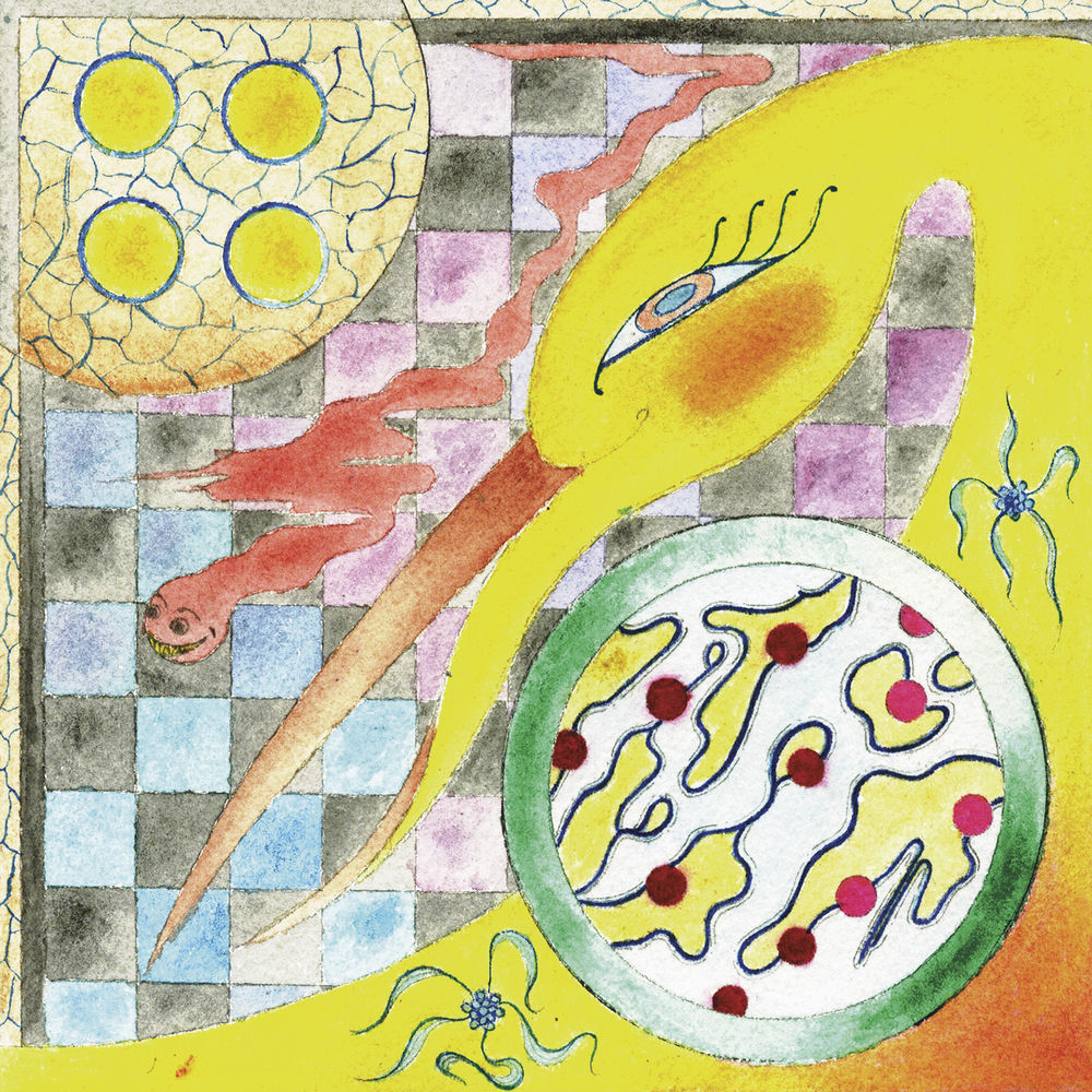 Wand – Perfume vinyl record cover