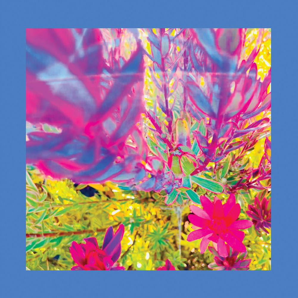 The Reds, Pinks and Purples – The Past Is a Garden I Never Fed vinyl record cover