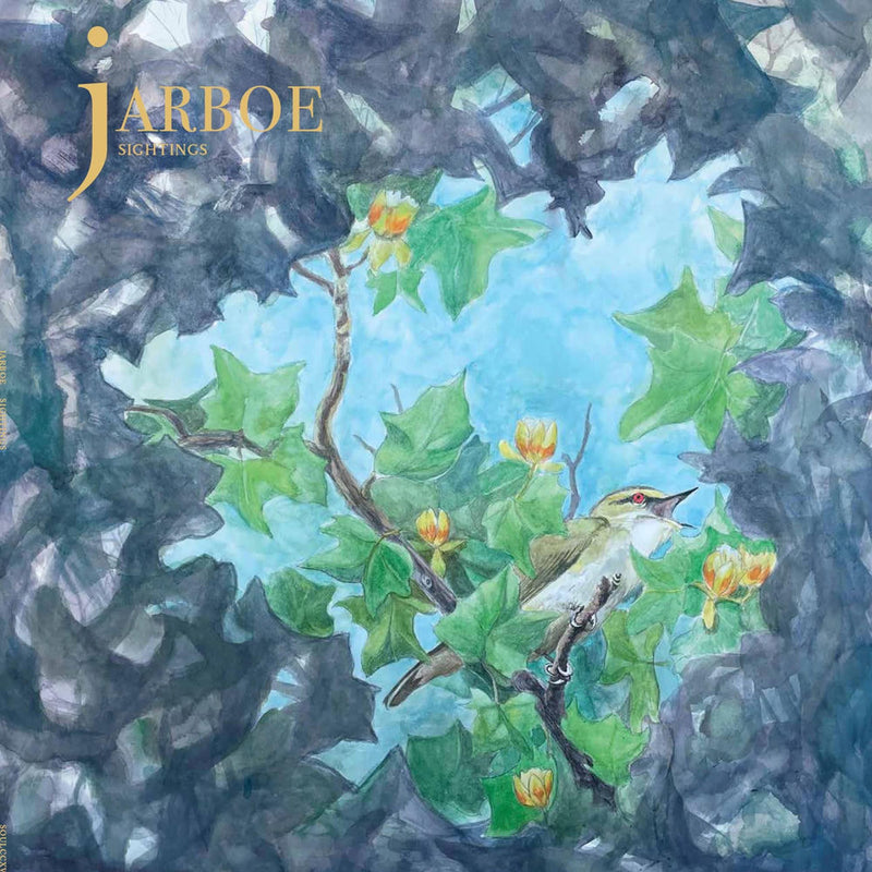 Jarboe – Sightings vinyl record cover