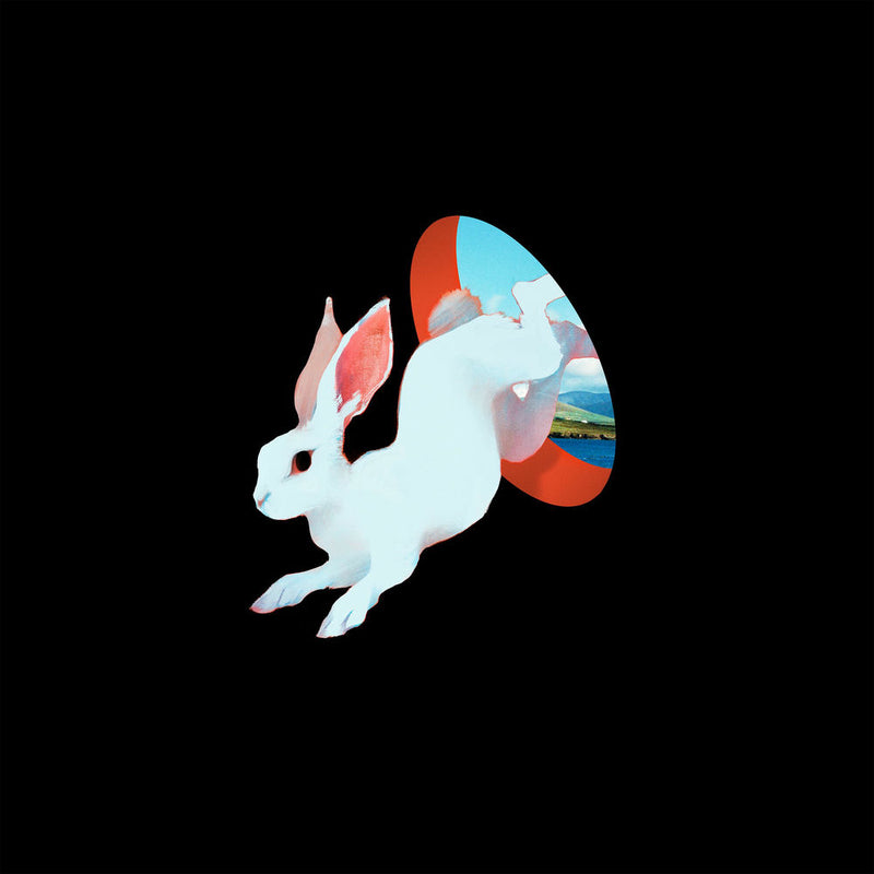 Ganser – Animal Hospital vinyl record cover